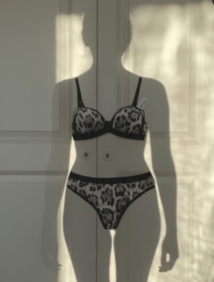 Sexy Leopard Bra Set image 0